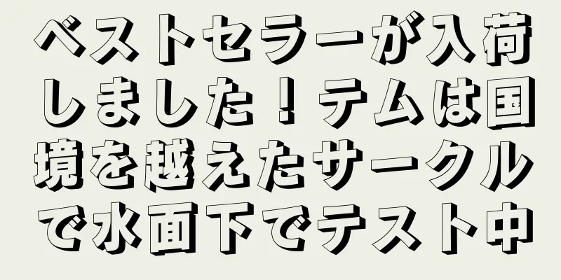 ベストセラーが入荷しました！テムは国境を越えたサークルで水面下でテスト中