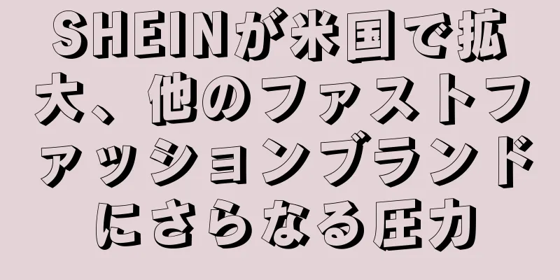 SHEINが米国で拡大、他のファストファッションブランドにさらなる圧力