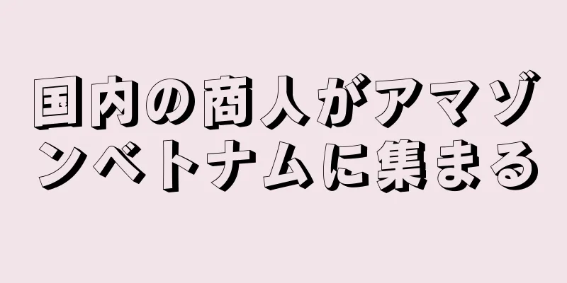 国内の商人がアマゾンベトナムに集まる