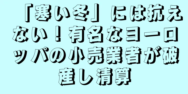 「寒い冬」には抗えない！有名なヨーロッパの小売業者が破産し清算