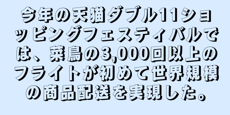 今年の天猫ダブル11ショッピングフェスティバルでは、菜鳥の3,000回以上のフライトが初めて世界規模の商品配送を実現した。