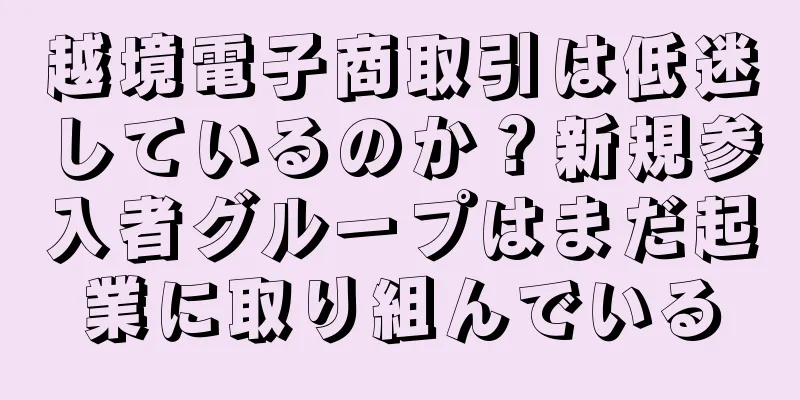 越境電子商取引は低迷しているのか？新規参入者グループはまだ起業に取り組んでいる