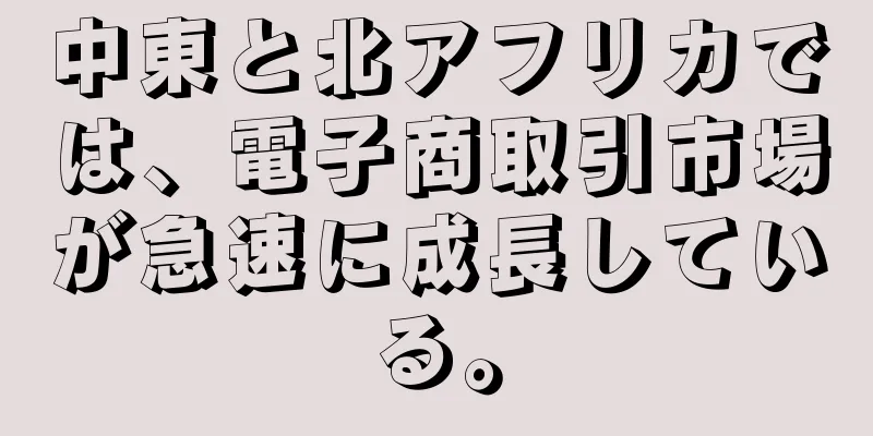 中東と北アフリカでは、電子商取引市場が急速に成長している。