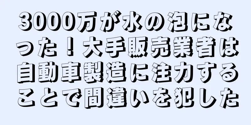 3000万が水の泡になった！大手販売業者は自動車製造に注力することで間違いを犯した