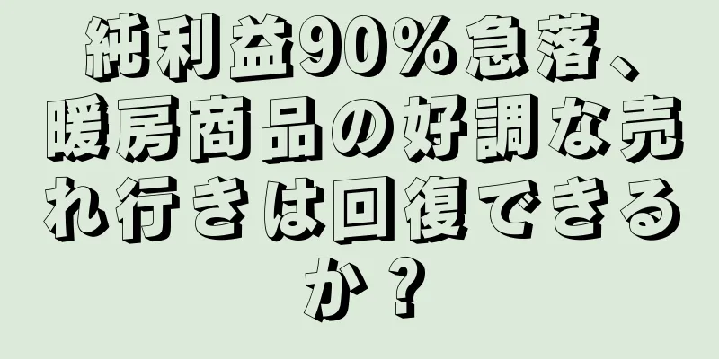 純利益90％急落、暖房商品の好調な売れ行きは回復できるか？