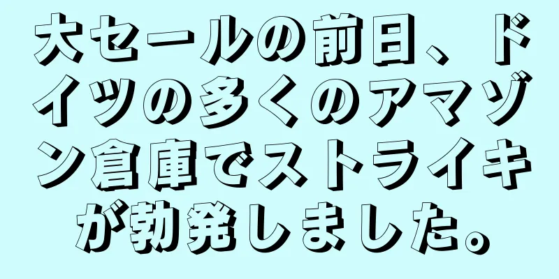 大セールの前日、ドイツの多くのアマゾン倉庫でストライキが勃発しました。