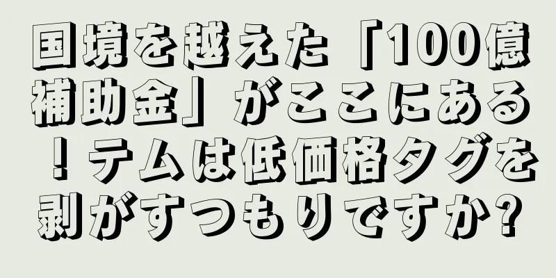 国境を越えた「100億補助金」がここにある！テムは低価格タグを剥がすつもりですか?