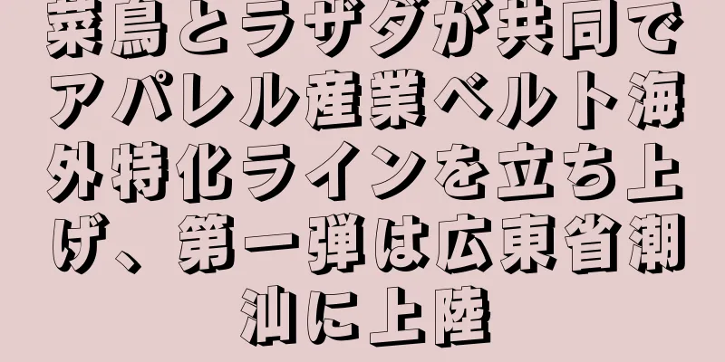 菜鳥とラザダが共同でアパレル産業ベルト海外特化ラインを立ち上げ、第一弾は広東省潮汕に上陸