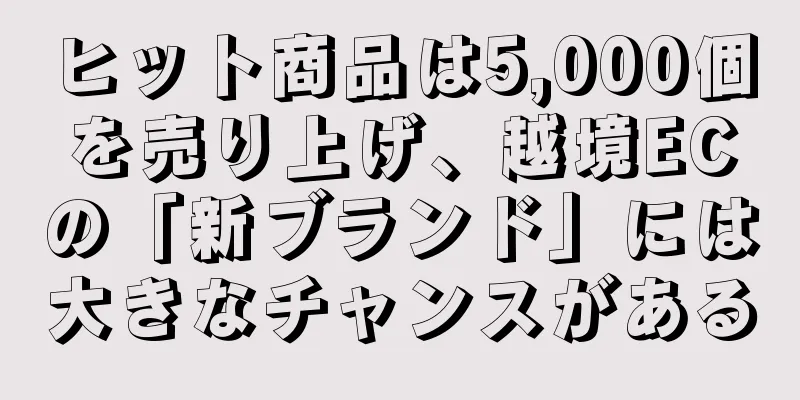 ヒット商品は5,000個を売り上げ、越境ECの「新ブランド」には大きなチャンスがある