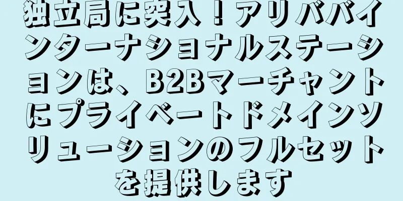 独立局に突入！アリババインターナショナルステーションは、B2Bマーチャントにプライベートドメインソリューションのフルセットを提供します