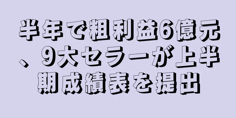 半年で粗利益6億元、9大セラーが上半期成績表を提出