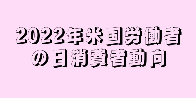 2022年米国労働者の日消費者動向