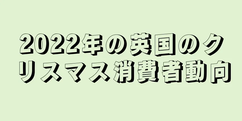 2022年の英国のクリスマス消費者動向