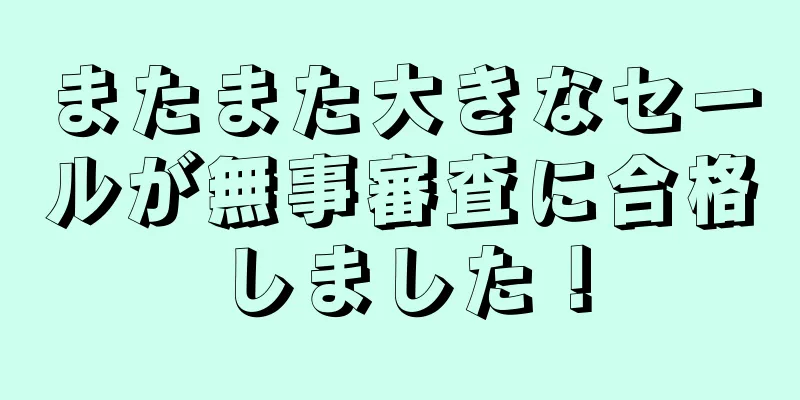 またまた大きなセールが無事審査に合格しました！
