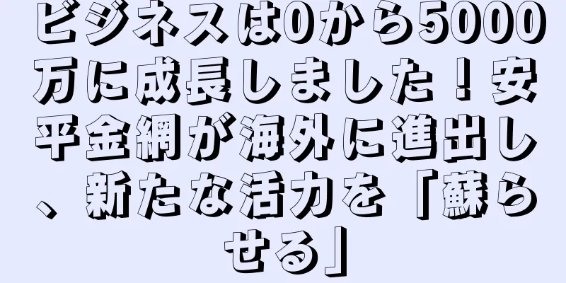 ビジネスは0から5000万に成長しました！安平金網が海外に進出し、新たな活力を「蘇らせる」