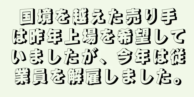 国境を越えた売り手は昨年上場を希望していましたが、今年は従業員を解雇しました。