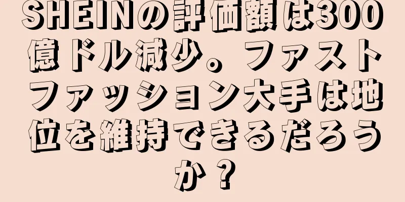 SHEINの評価額は300億ドル減少。ファストファッション大手は地位を維持できるだろうか？