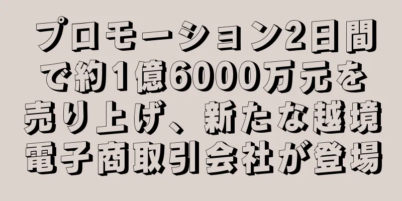 プロモーション2日間で約1億6000万元を売り上げ、新たな越境電子商取引会社が登場