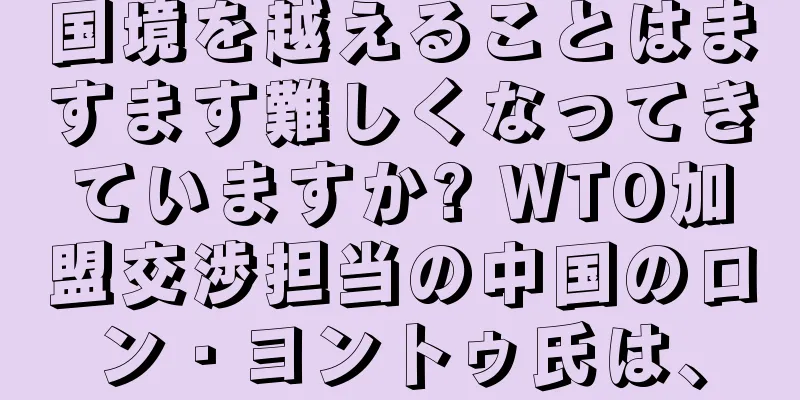国境を越えることはますます難しくなってきていますか? WTO加盟交渉担当の中国のロン・ヨントゥ氏は、