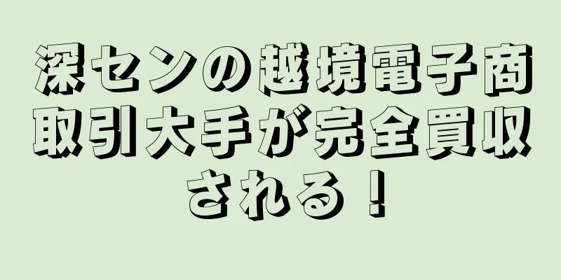 深センの越境電子商取引大手が完全買収される！