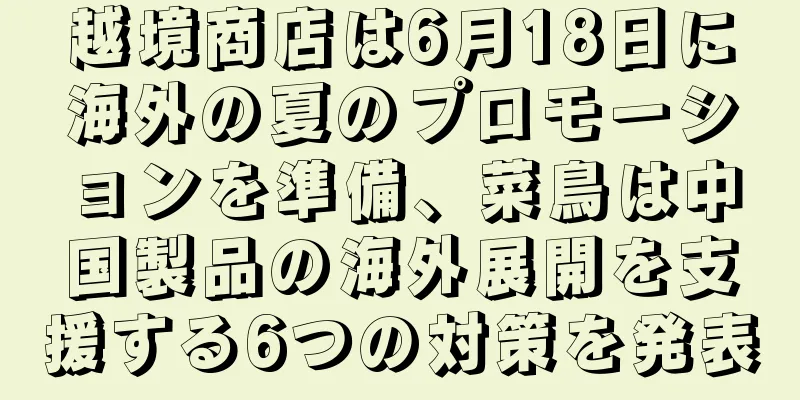 越境商店は6月18日に海外の夏のプロモーションを準備、菜鳥は中国製品の海外展開を支援する6つの対策を発表