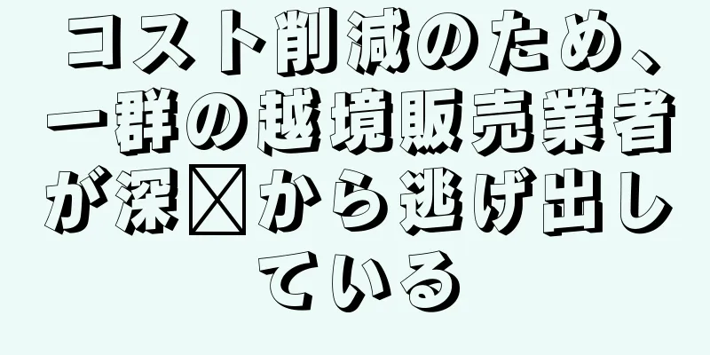 コスト削減のため、一群の越境販売業者が深圳から逃げ出している
