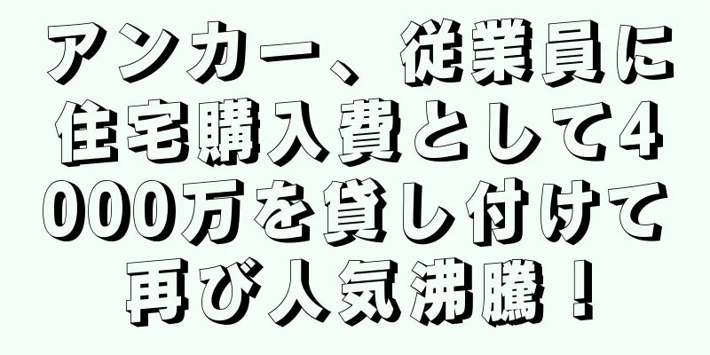 アンカー、従業員に住宅購入費として4000万を貸し付けて再び人気沸騰！