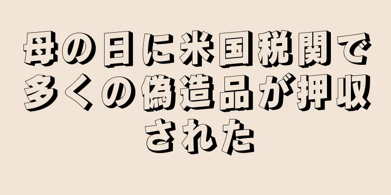 母の日に米国税関で多くの偽造品が押収された