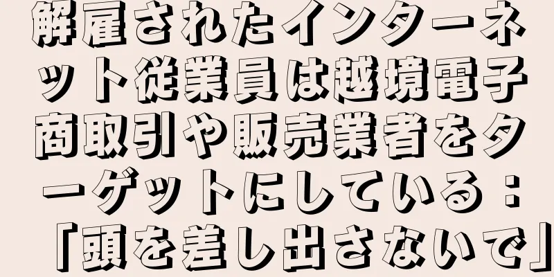 解雇されたインターネット従業員は越境電子商取引や販売業者をターゲットにしている：「頭を差し出さないで」