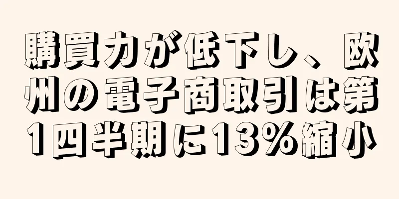 購買力が低下し、欧州の電子商取引は第1四半期に13%縮小