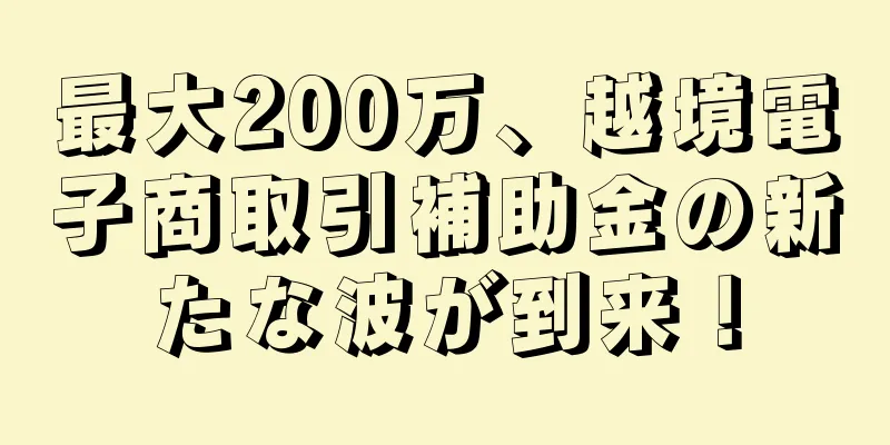 最大200万、越境電子商取引補助金の新たな波が到来！