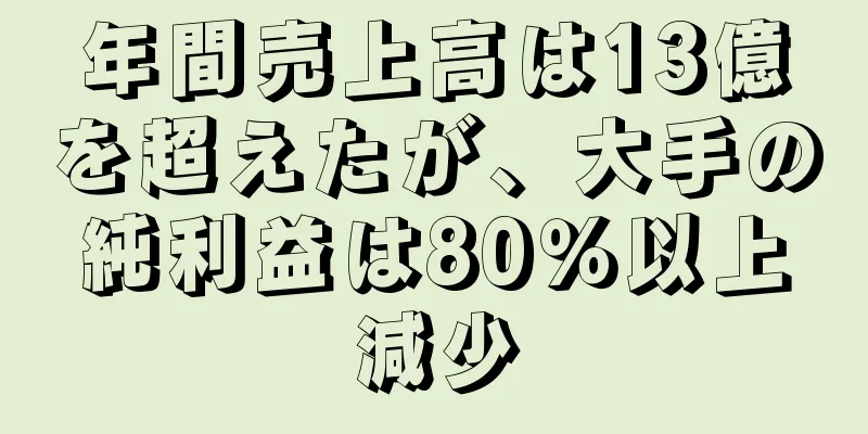年間売上高は13億を超えたが、大手の純利益は80％以上減少