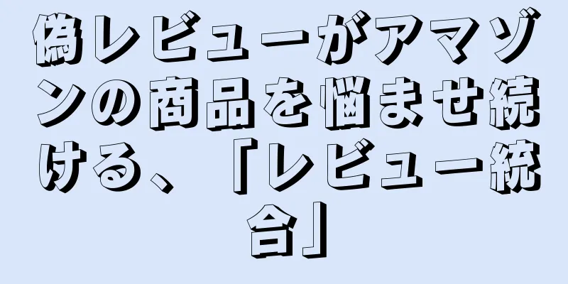 偽レビューがアマゾンの商品を悩ませ続ける、「レビュー統合」