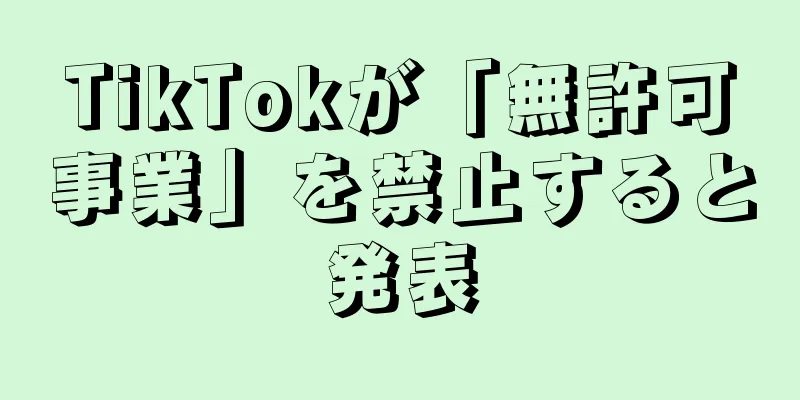 TikTokが「無許可事業」を禁止すると発表
