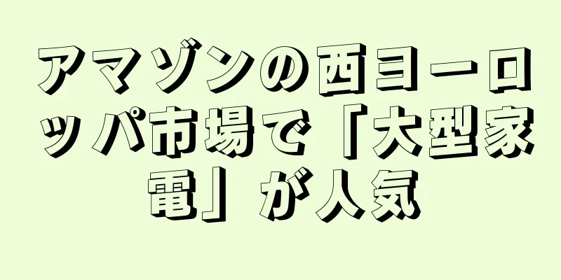 アマゾンの西ヨーロッパ市場で「大型家電」が人気