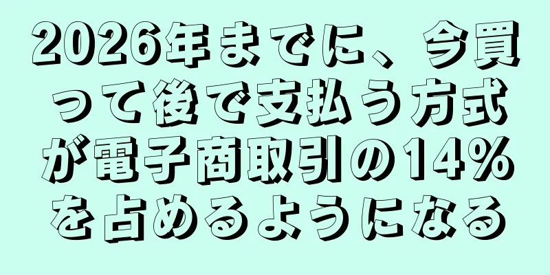 2026年までに、今買って後で支払う方式が電子商取引の14%を占めるようになる