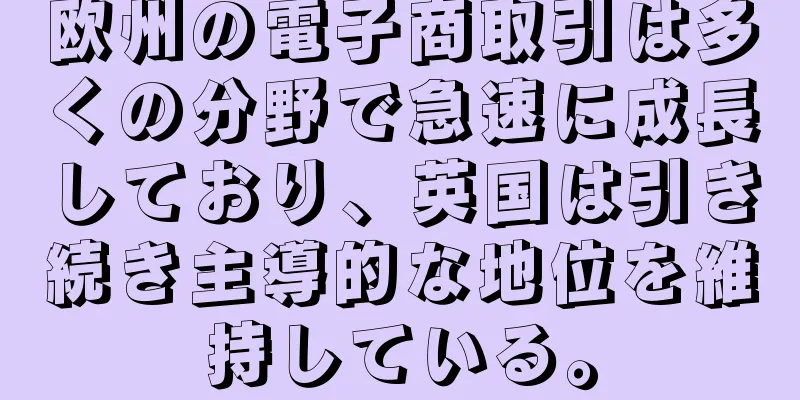 欧州の電子商取引は多くの分野で急速に成長しており、英国は引き続き主導的な地位を維持している。