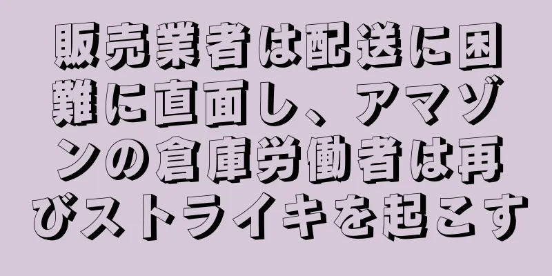 販売業者は配送に困難に直面し、アマゾンの倉庫労働者は再びストライキを起こす