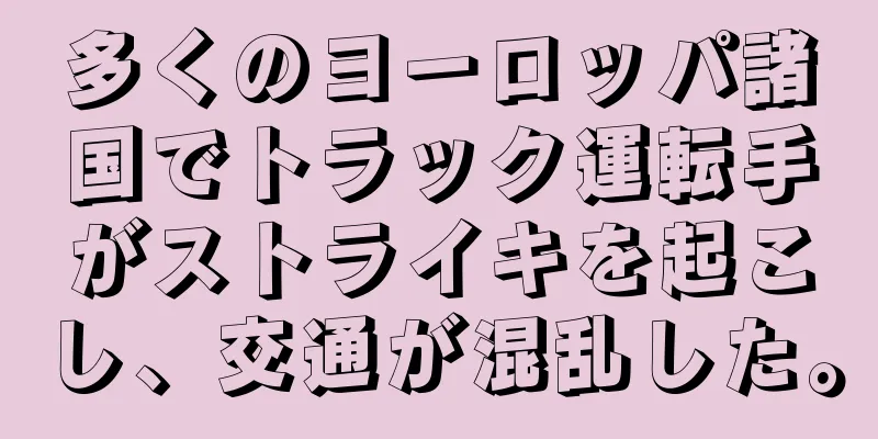 多くのヨーロッパ諸国でトラック運転手がストライキを起こし、交通が混乱した。