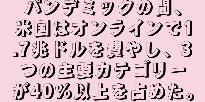 パンデミックの間、米国はオンラインで1.7兆ドルを費やし、3つの主要カテゴリーが40％以上を占めた。