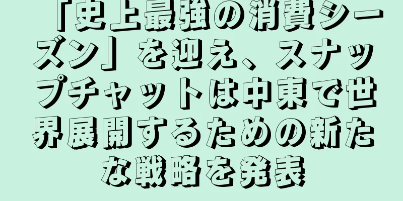 「史上最強の消費シーズン」を迎え、スナップチャットは中東で世界展開するための新たな戦略を発表
