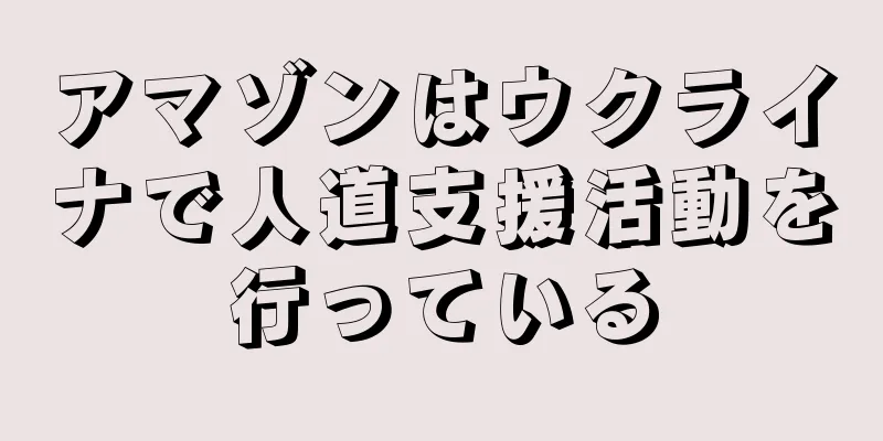 アマゾンはウクライナで人道支援活動を行っている
