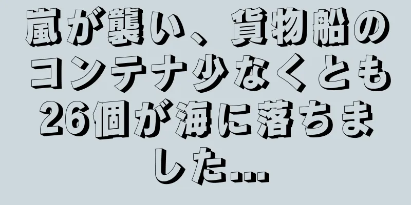 嵐が襲い、貨物船のコンテナ少なくとも26個が海に落ちました...