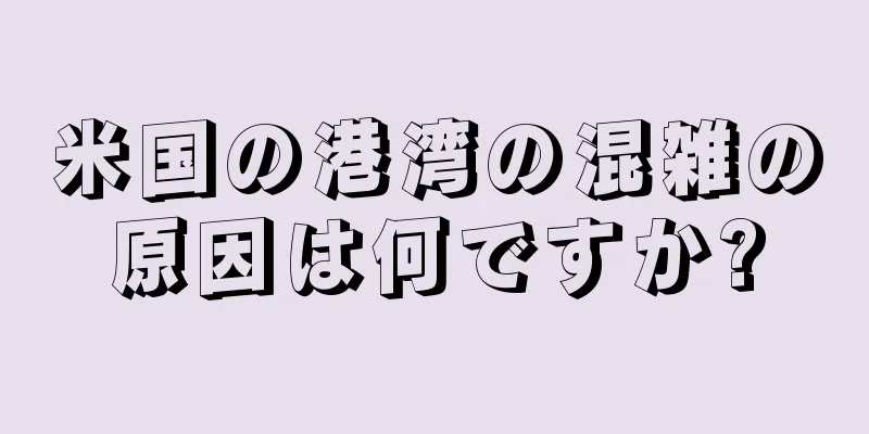米国の港湾の混雑の原因は何ですか?