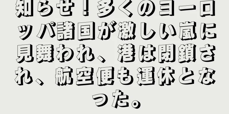 知らせ！多くのヨーロッパ諸国が激しい嵐に見舞われ、港は閉鎖され、航空便も運休となった。