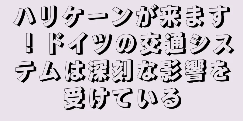 ハリケーンが来ます！ドイツの交通システムは深刻な影響を受けている