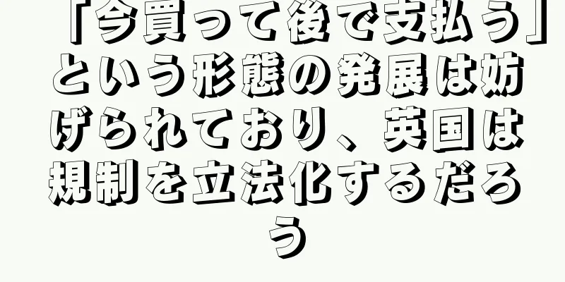 「今買って後で支払う」という形態の発展は妨げられており、英国は規制を立法化するだろう