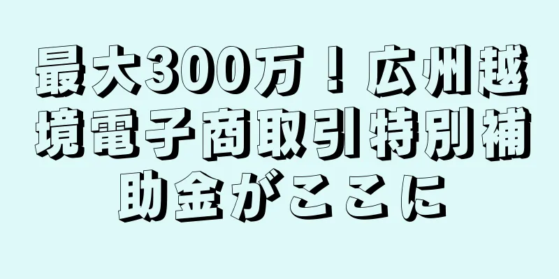 最大300万！広州越境電子商取引特別補助金がここに