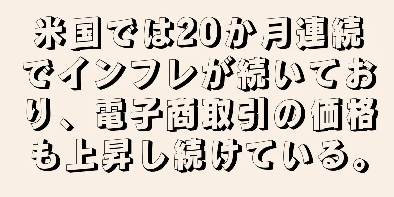 米国では20か月連続でインフレが続いており、電子商取引の価格も上昇し続けている。