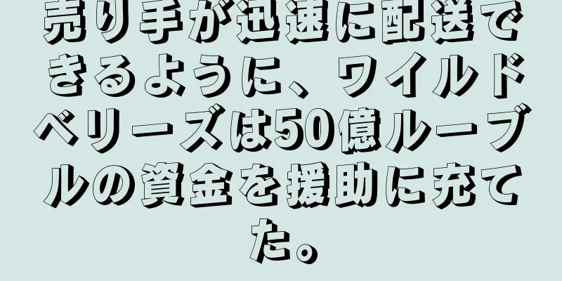 売り手が迅速に配送できるように、ワイルドベリーズは50億ルーブルの資金を援助に充てた。